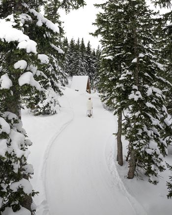 Schneelandschaften bewundern. Dame von hinten beim Schneeschuhwandern im Winter, umgeben von schneebedeckten Bäumen.