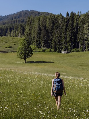 Frau wandert durch eine sommerliche Wiese in Richtung Wald.