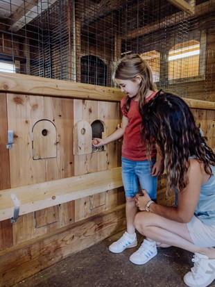 Mädchen und Frau blicken am Bio-Bauernhof des Puradies durch eine Klappe in den Hühnerstall, um zu sehen, ob ein Ei darin liegt.