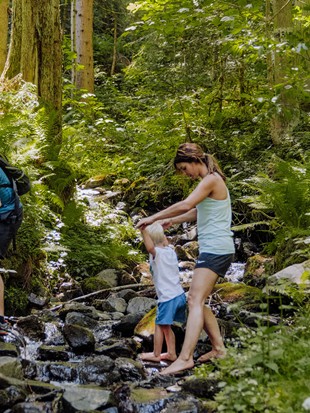 Zwei Erwachsene und zwei Kinder spazieren über einen Bach im Wald, umgeben von grünen Wiesen und Bäumen im Sommer.