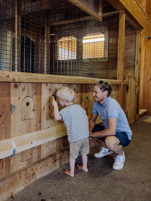 Ein kleiner Junge und ein Mann spähen am Bio-Bauernhof des Puradies durch eine Klappe, um zu sehen, ob ein Ei im Hühnerstall liegt.