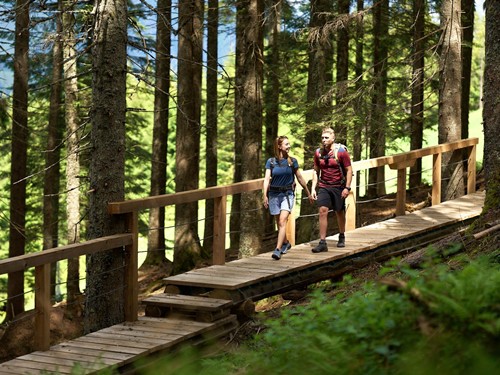 Hiking Couple on a Wooden Bridge on the Asitz during Forest Bathing – Naturresort Puradies, Leogang, Salzburger Land Hiking couple on wooden bridge in forest on the Asitz, Naturresort Puradies in Leogang
