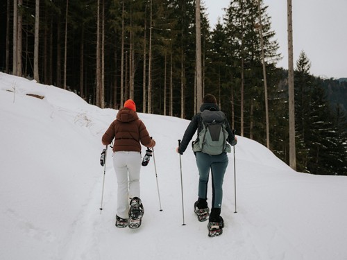 Two People Snowshoeing Uphill through the Winter Forest – Naturresort Puradies, Leogang, Salzburger Land Two people snowshoeing in winter forest, Naturresort Puradies