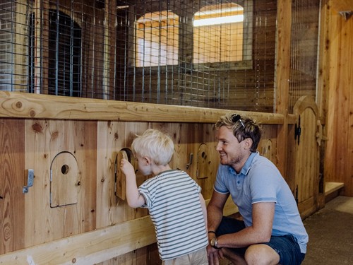 Kind und Erwachsener bei Kleintierställen, Embachhof Puradies
