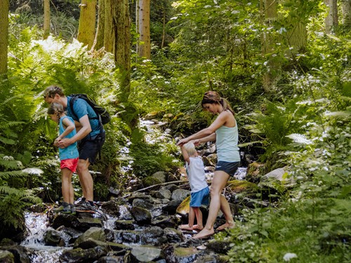 Familie beim Walderlebnis nahe Naturresort Puradies in Leogang